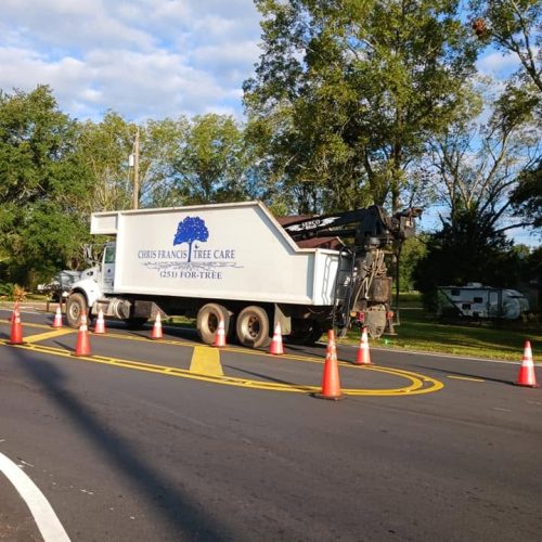 Fairhope, AL - pruning for red light installation