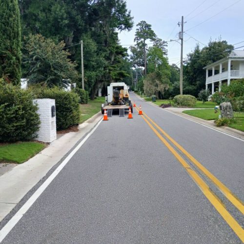 Daphne, AL  - Spanish Moss Removal and Dead wooding