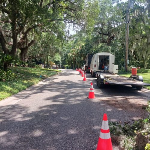 321 Whiting Court, Daphne, AL - pruning of live oaks and magnolias