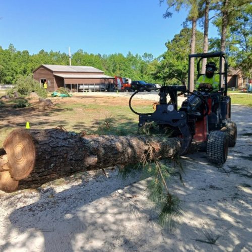 Summerdale, AL - tree removal and grappling debris.