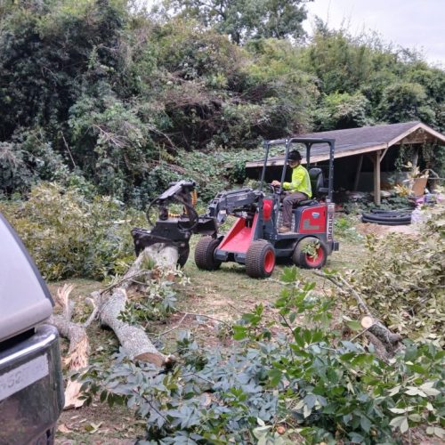 Fairhope, AL - emergency tree - failed due to high winds and poor structure