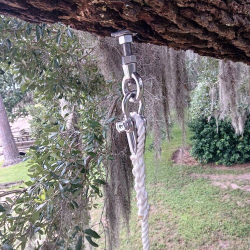 Point Clear, AL -Installing Tree Lightning Protection & Swing  (In Progress)