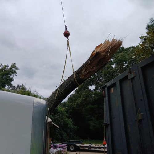 Fairhope, AL - emergency tree - failed due to high winds and poor structure