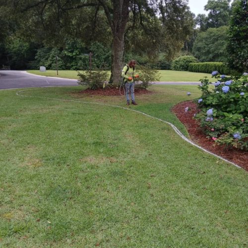 Project in Point Clear & Fairhope, AL - enlarging mulch bed around live oak