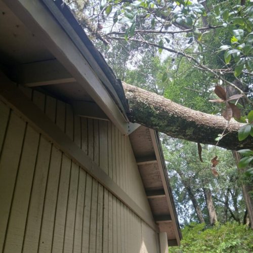 Fairhope, AL - emergency job - tree failed due to internal decay