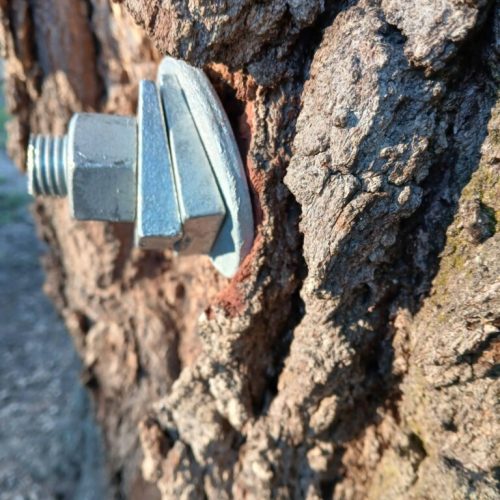 Foley, AL - Tree Support Work at Beulah Heights Park