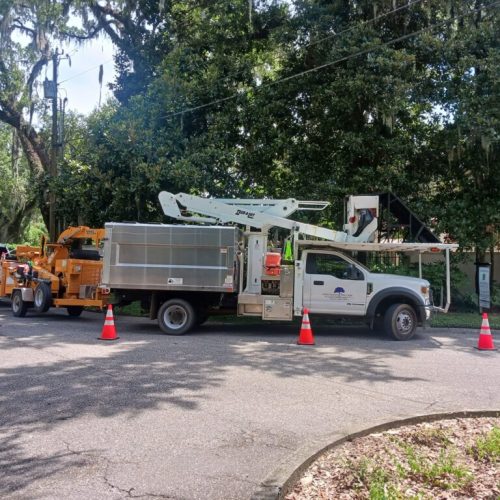 321 Whiting Court, Daphne, AL - pruning of live oaks and magnolias
