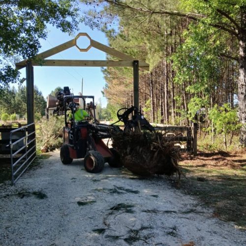 Summerdale, AL - tree removal and grappling debris.