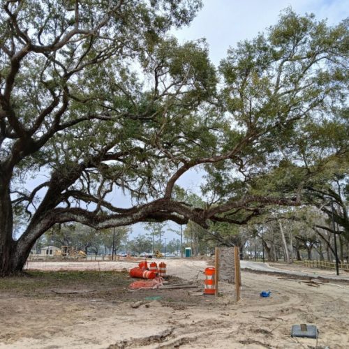 Elberta, AL - public project without proper tree protecton.