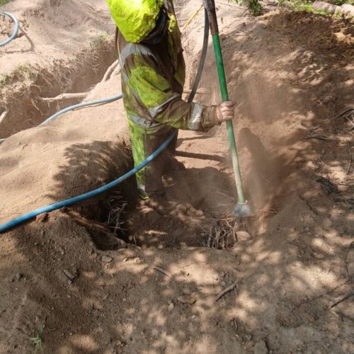 Point Clear, AL - Air Excavation Under Tree Roots for Drain Line Installation