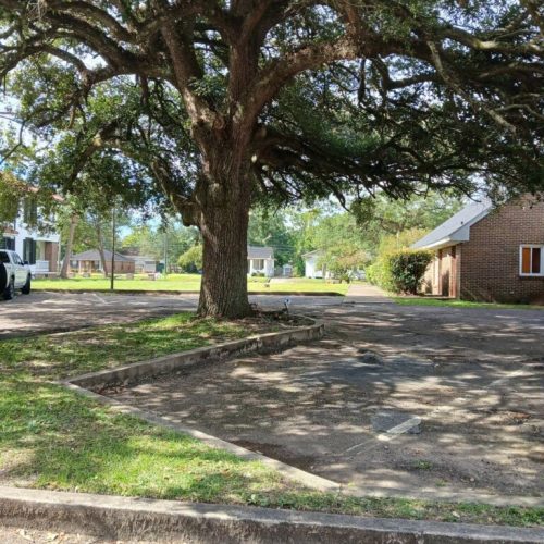 Mobile, AL-Tree Root Management Consulting Project Saving Live Oaks During Parking Lot Repaving