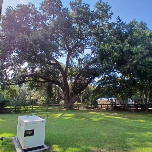 Silverhill, AL - Tree Preservation Project Completed with 22 Support Rods