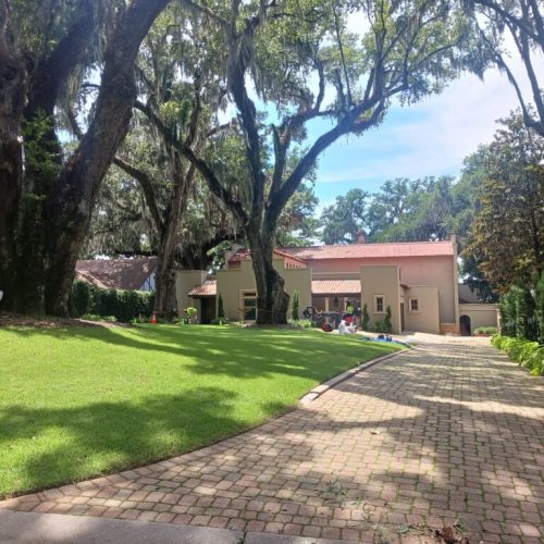 321 Whiting Court, Daphne, AL - pruning of live oaks and magnolias