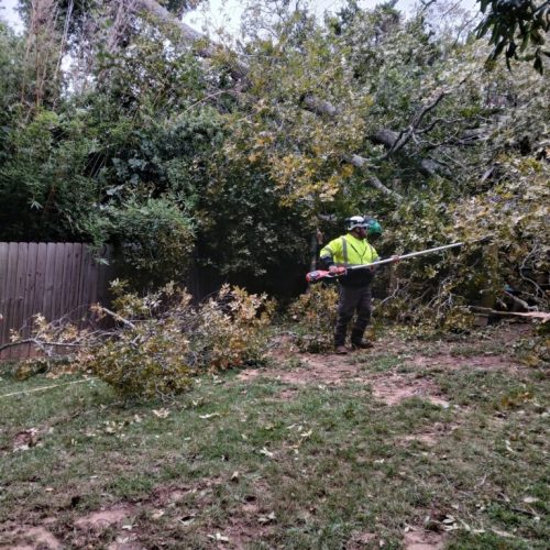 Fairhope, AL - emergency tree - failed due to high winds and poor structure