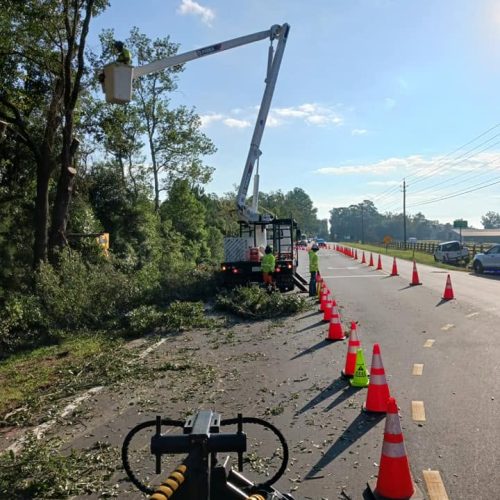 Fairhope, AL - pruning for red light installation