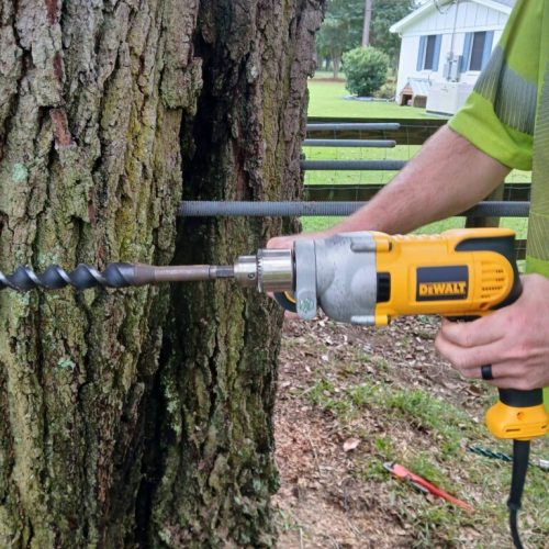 Silverhill, AL - Emergency Tree Support Installation