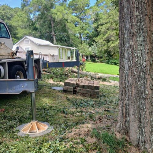 Emergency Tree Removal in Fairhope, AL