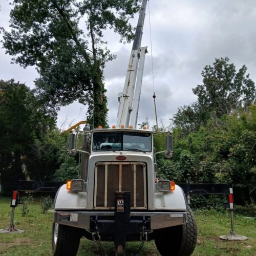 Fairhope, AL - emergency tree - failed due to high winds and poor structure