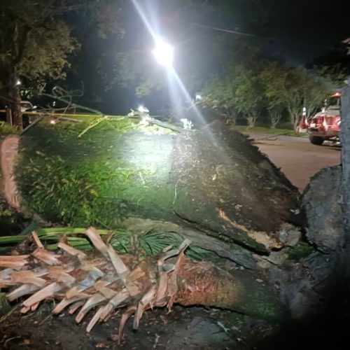 Mobile, AL - city work - emergency job - live oak split from bark inclusion