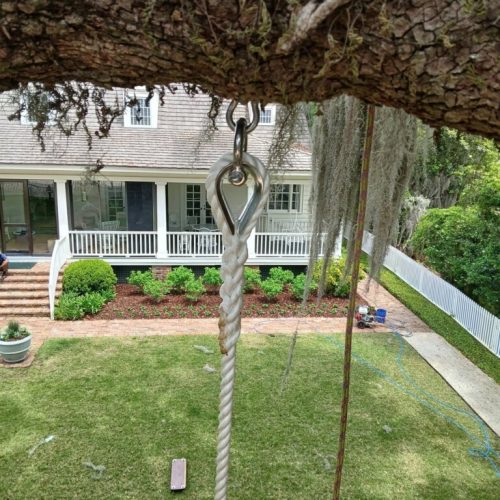 Point Clear, AL - installing a swing in a live oak