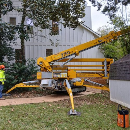Fairhope, AL - emergency tree - failed due to high winds and poor structure