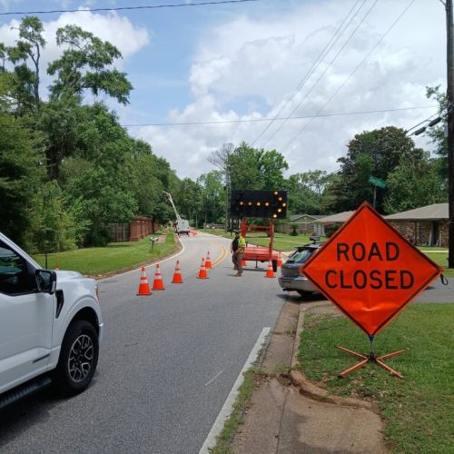 2599 Lloyds Lane, Mobile, AL - city work - tree removal