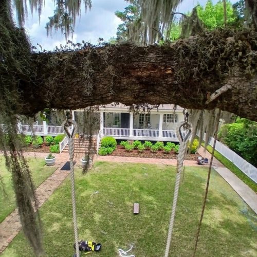 Point Clear, AL - installing a swing in a live oak