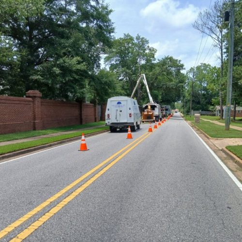 2599 Lloyds Lane, Mobile, AL - city work - tree removal