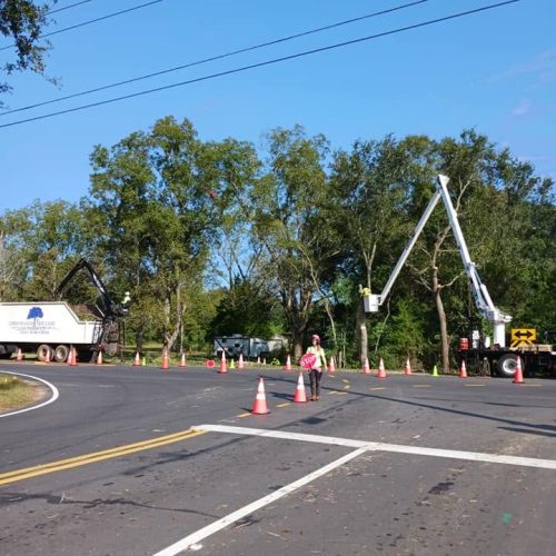 Fairhope, AL - pruning for red light installation