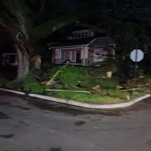 Mobile, AL - city work - emergency job - live oak split from bark inclusion