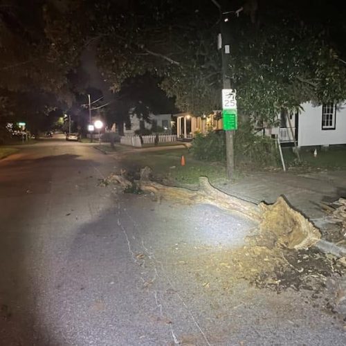 Mobile, AL - Emergency tree jobs