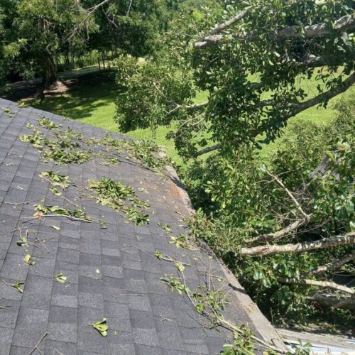 Theodore, AL - Emergency Tree Removal Due to Bark Inclusion