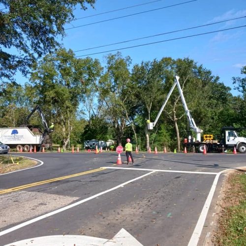 Fairhope, AL - pruning for red light installation