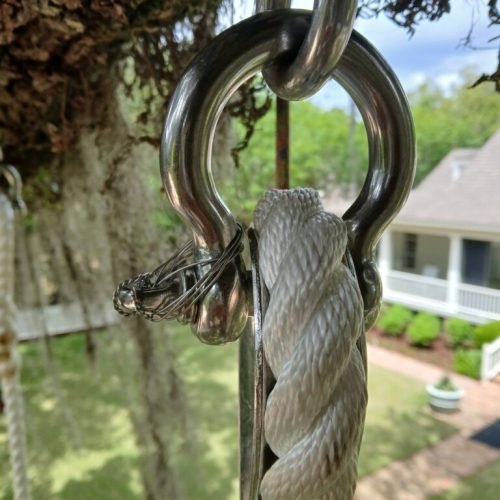 Point Clear, AL - installing a swing in a live oak