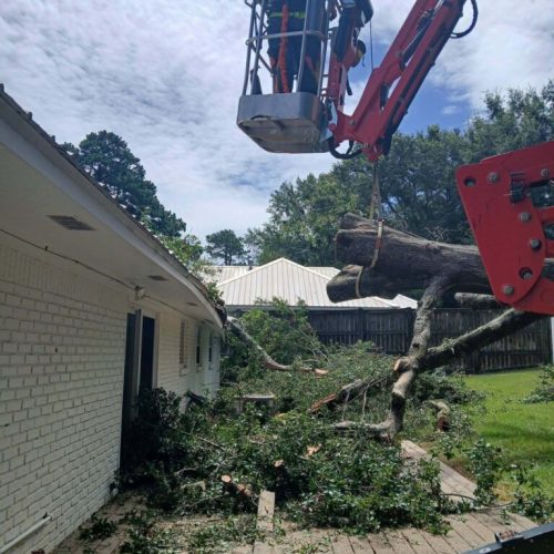 Emergency Tree Removal in Fairhope, AL